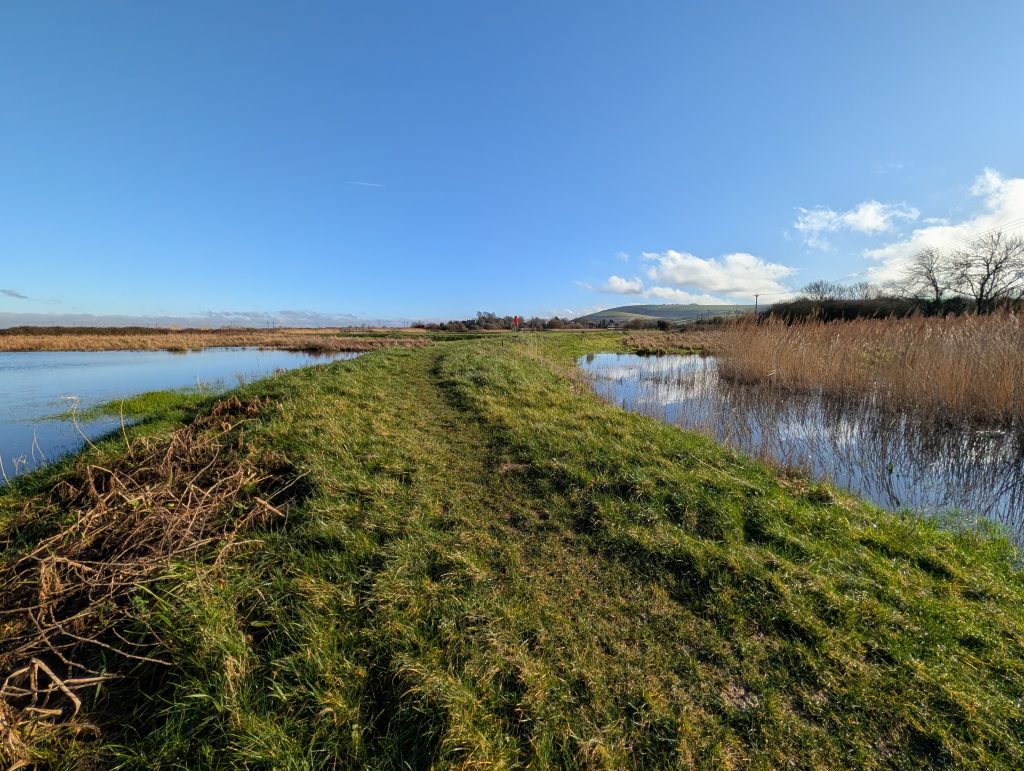 New scrape at Bramber Brooks, February 2026