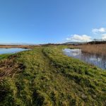 New scrape at Bramber Brooks, February 2026