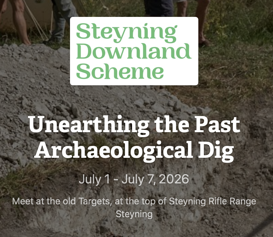 Steyning Downland Scheme – archaeological Dig